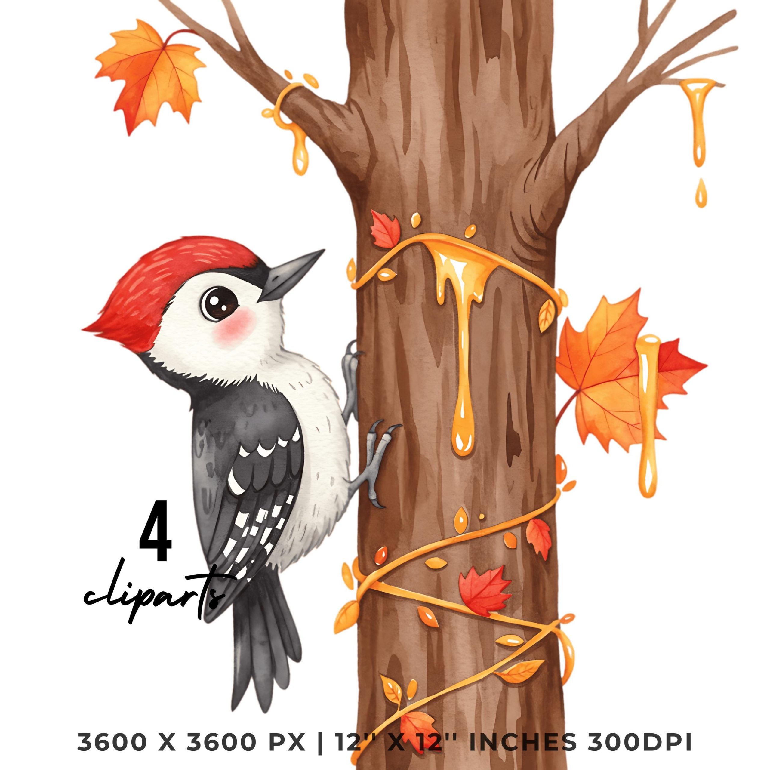 Woodpecker Maple Tree Syrup Clipart Bundle | Fall Woodpecker Art | 4 PNG & 4 JPG | Sublimation Transparent Commercial Use – Instant Digital Download