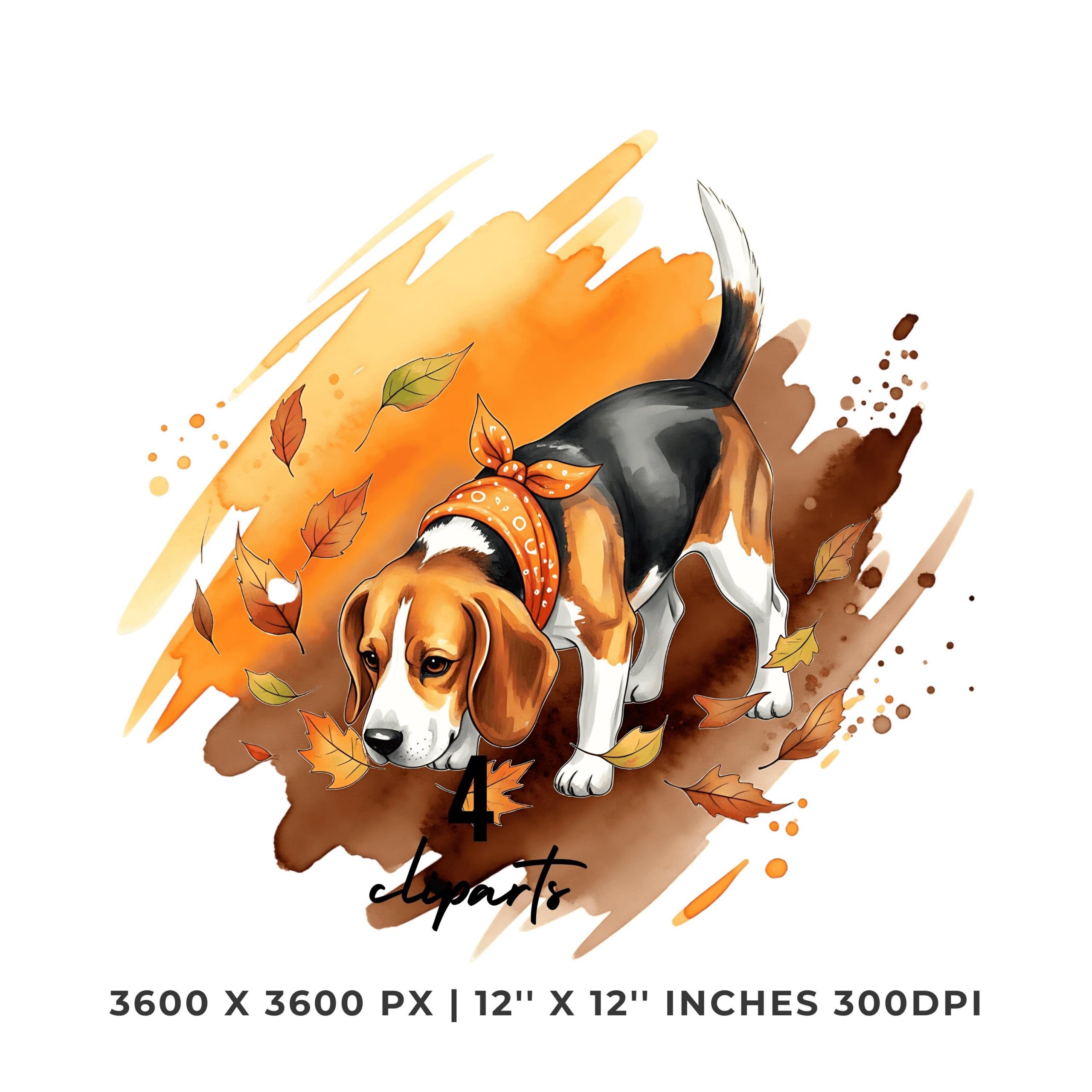 Beagle Clipart PNG | Watercolor Beagle nose to the ground, tracking a scent trail through autumn leaves | Autumn 4 PNG 4 JPG Commercial Use – Instant Digital Download