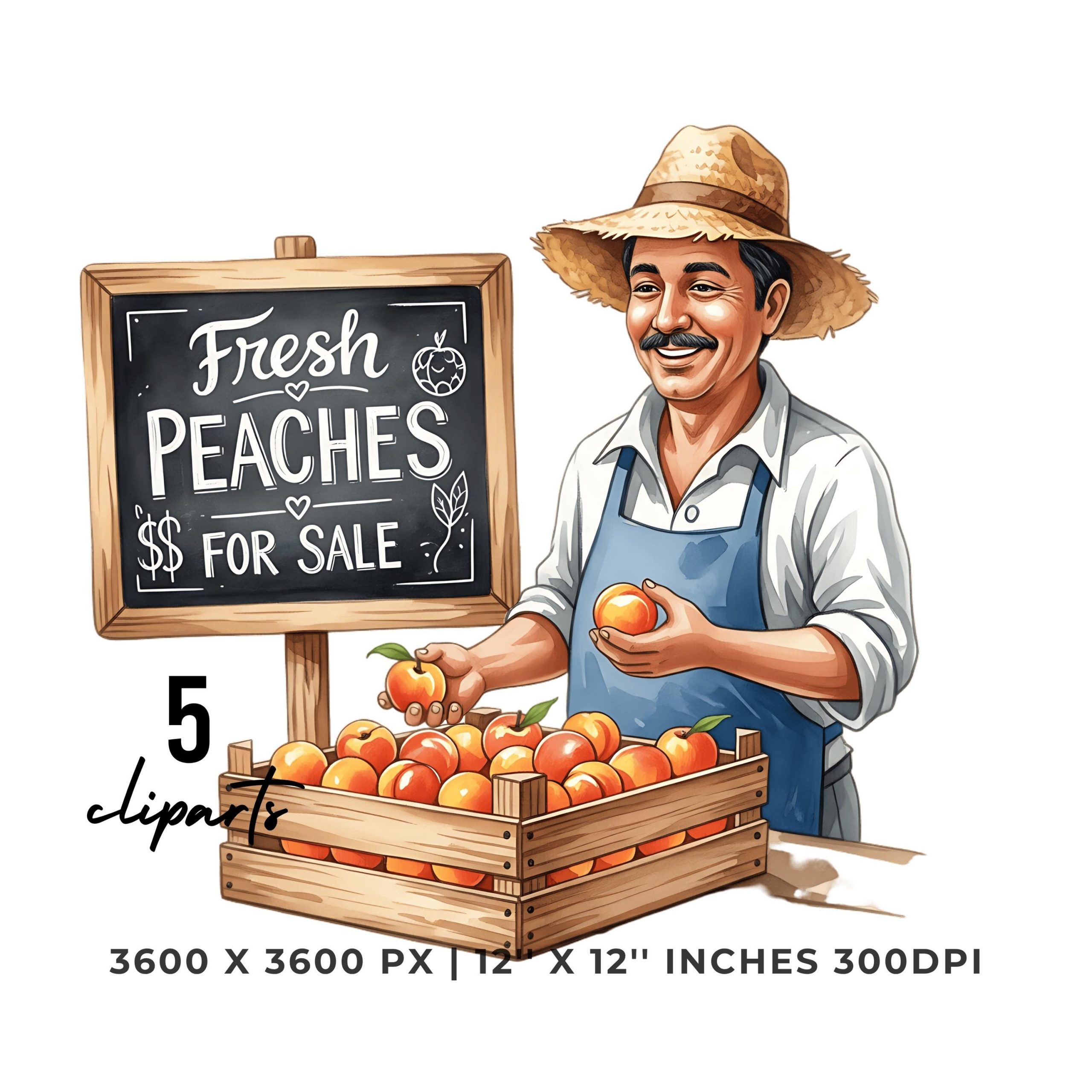 Peach Seller at the Market PNG Clipart | Watercolor Roadside Produce Seller handing out peaches | Summer job 5 PNG – 5 JPG Commercial Use – Instant Digital Download