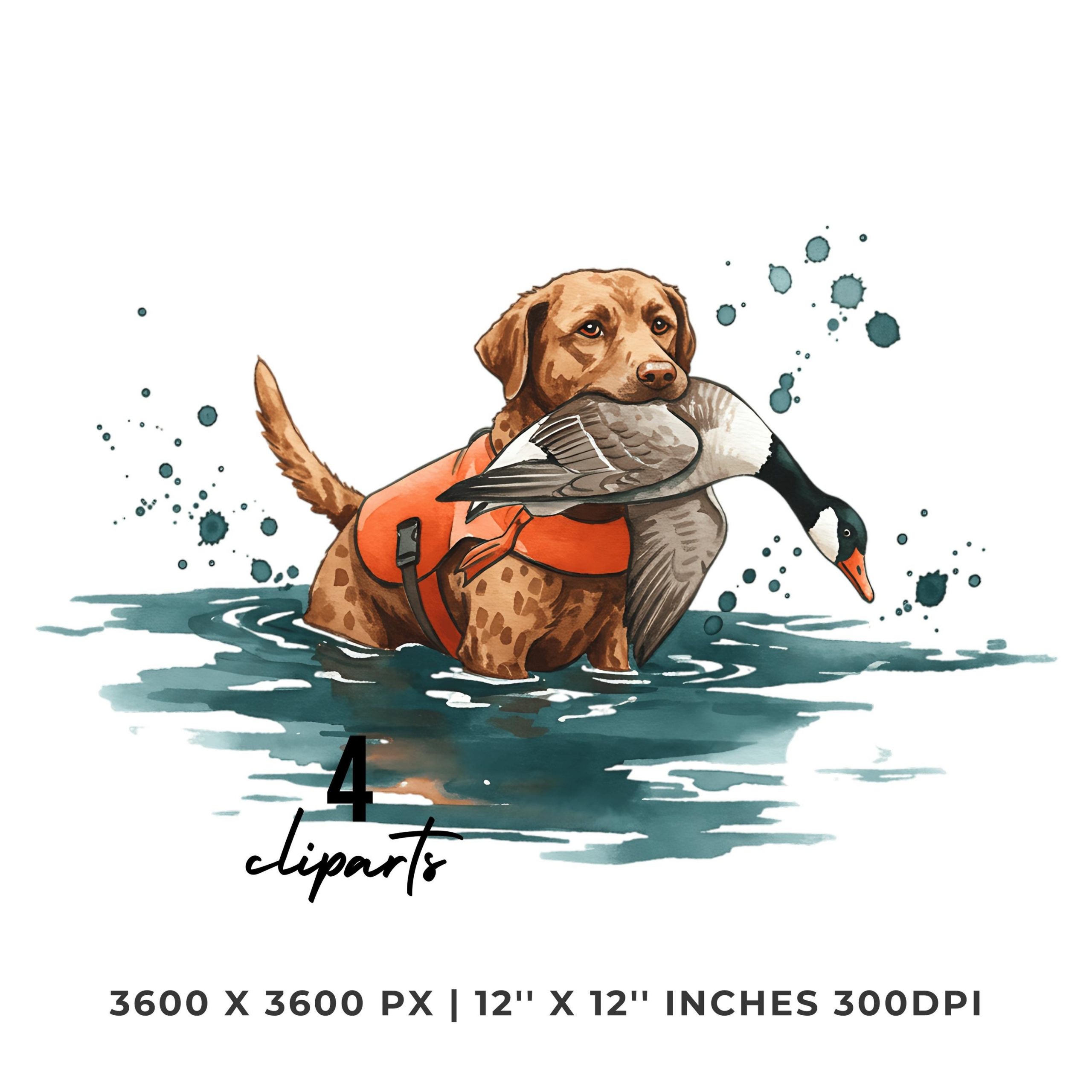 Chessie Dog holding a Duck in its Mouth Clipart | Watercolor Chessie Dog Hunting Ducks |  4 PNG 4 JPG Sublimation Hi-Res Commercial Use – Instant Digital Download