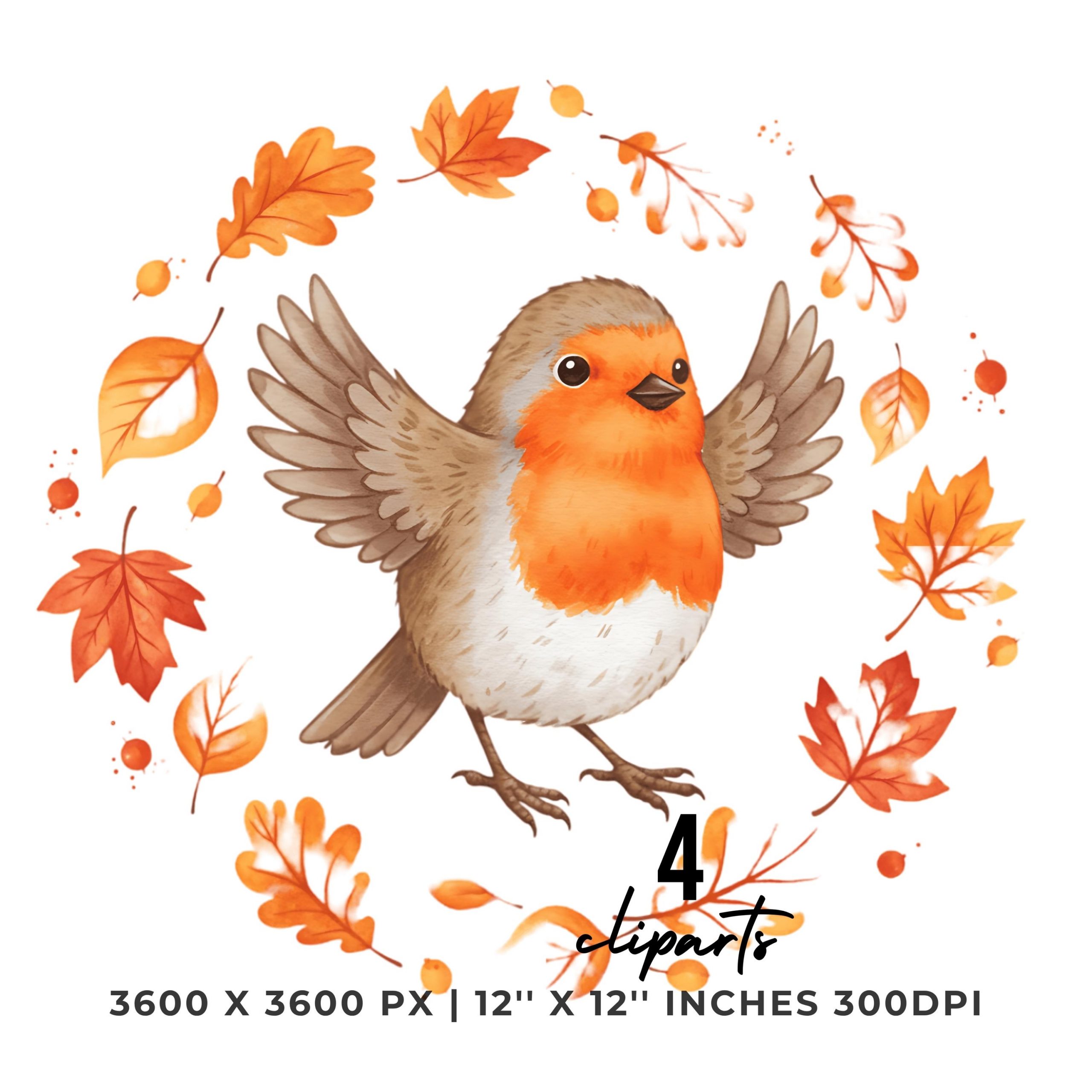 Whimsical Robin Autumn Clipart | 4 Cute Red-Breast Birds with Fall Leaves for Sublimation, Scrapbook | 4 PNG & 4 JPG | Commercial Use – Instant Digital Download