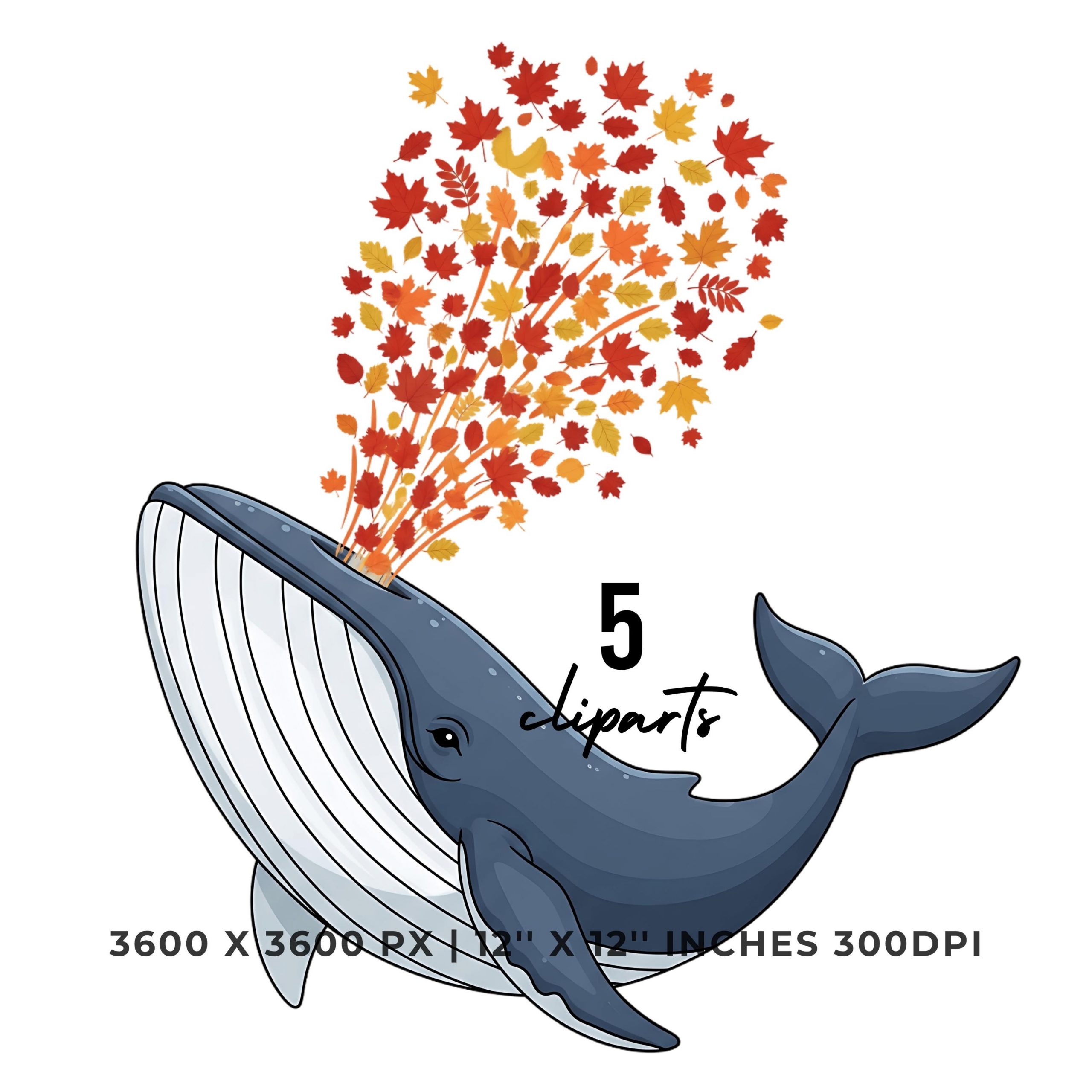 Whale Spraying Autumn Leaves Clipart PNG | 5 PNG 5 JPG Watercolor Whale Illustrations | Fall Ocean Animal Sublimation | Commercial Use – Instant Digital Download