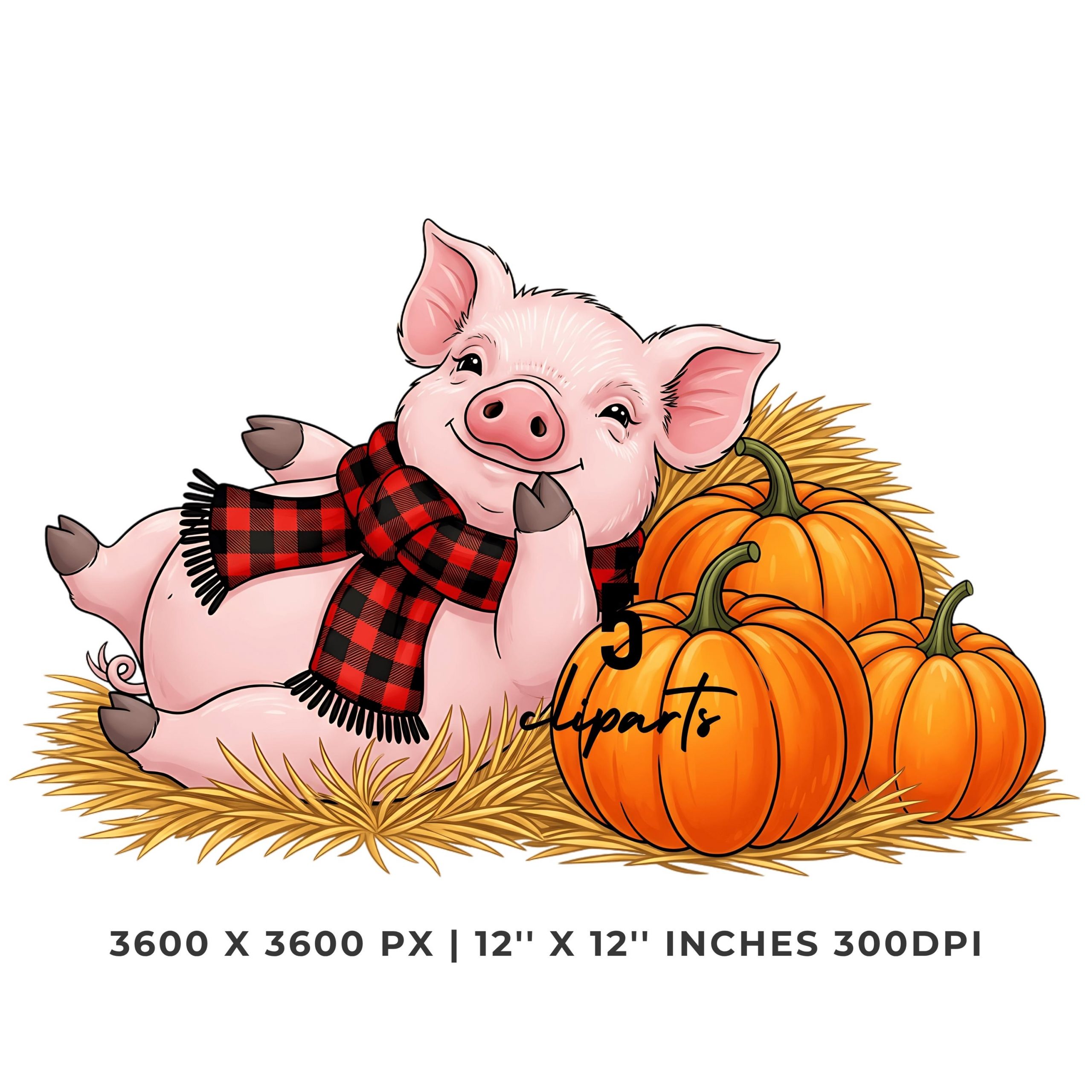 Cute Piglet in Plaid Scarf with Pumpkins Clipart | Fall Pig PNG Bundle | Autumn Farm Animal | 5 PNG 5 JPG | Sublimation Commercial Use – Instant Digital Download