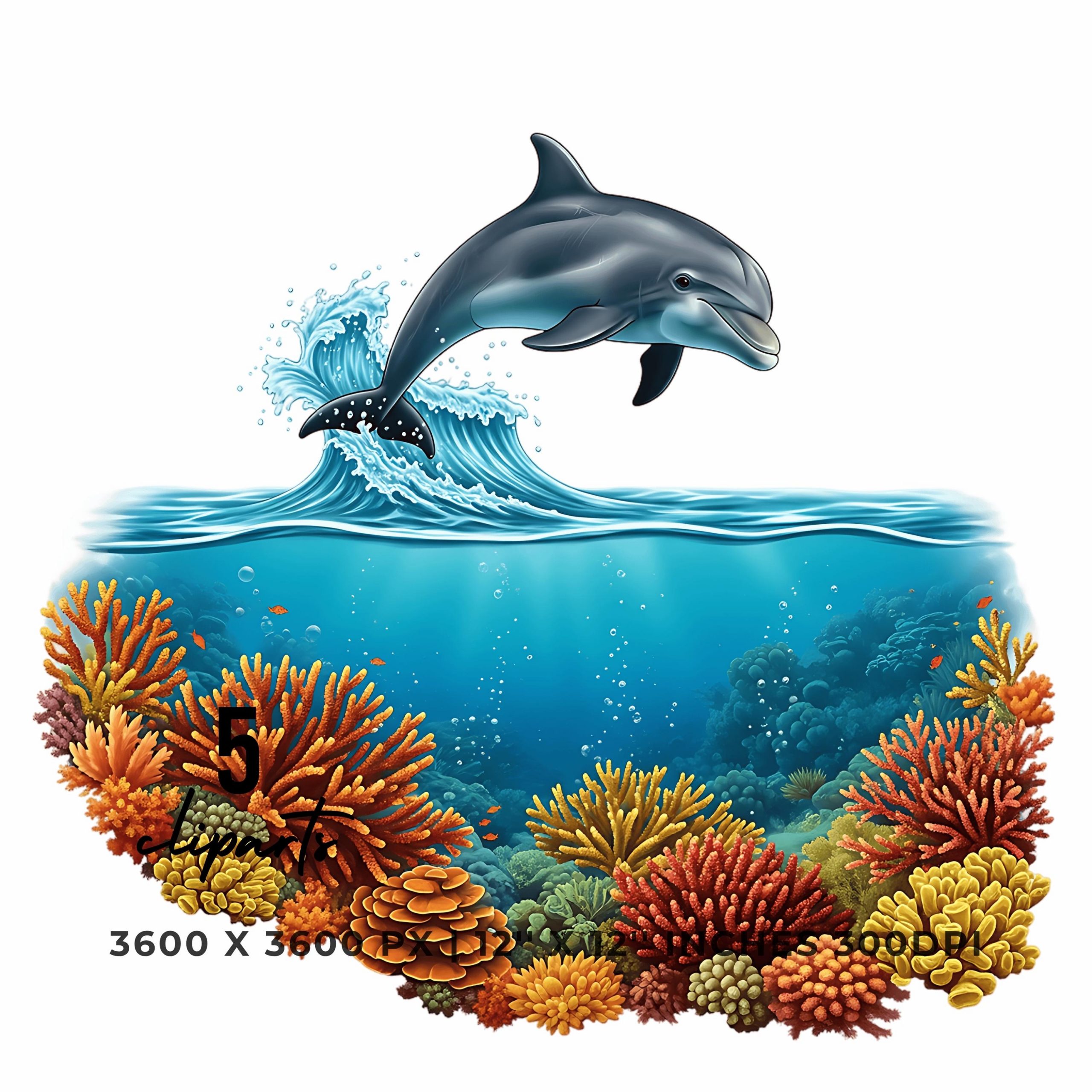 Dolphin Leaping Above Ocean Waves Clipart | Underwater Coral Scene | 5 PNG & JPG | 12″x12″ 300DPI |  Sublimation Transparent Commercial Use – Instant Digital Download