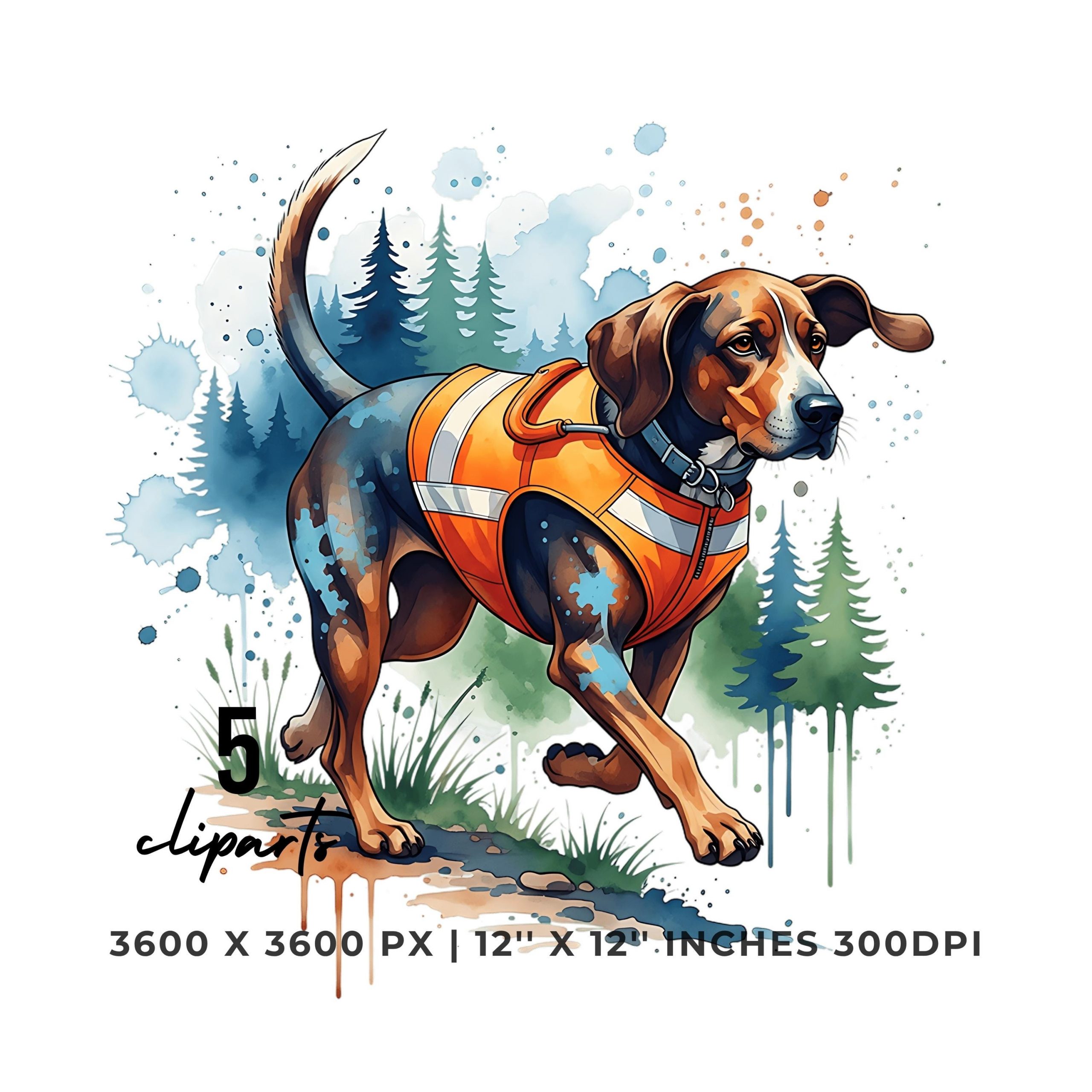 Plott Hound Hunting Dog Clipart | Hunting Dog in Safety Vest | Watercolor Hound Art | 5 PNG & 5 JPG Sublimation Hi-Res Commercial Use – Instant Digital Download