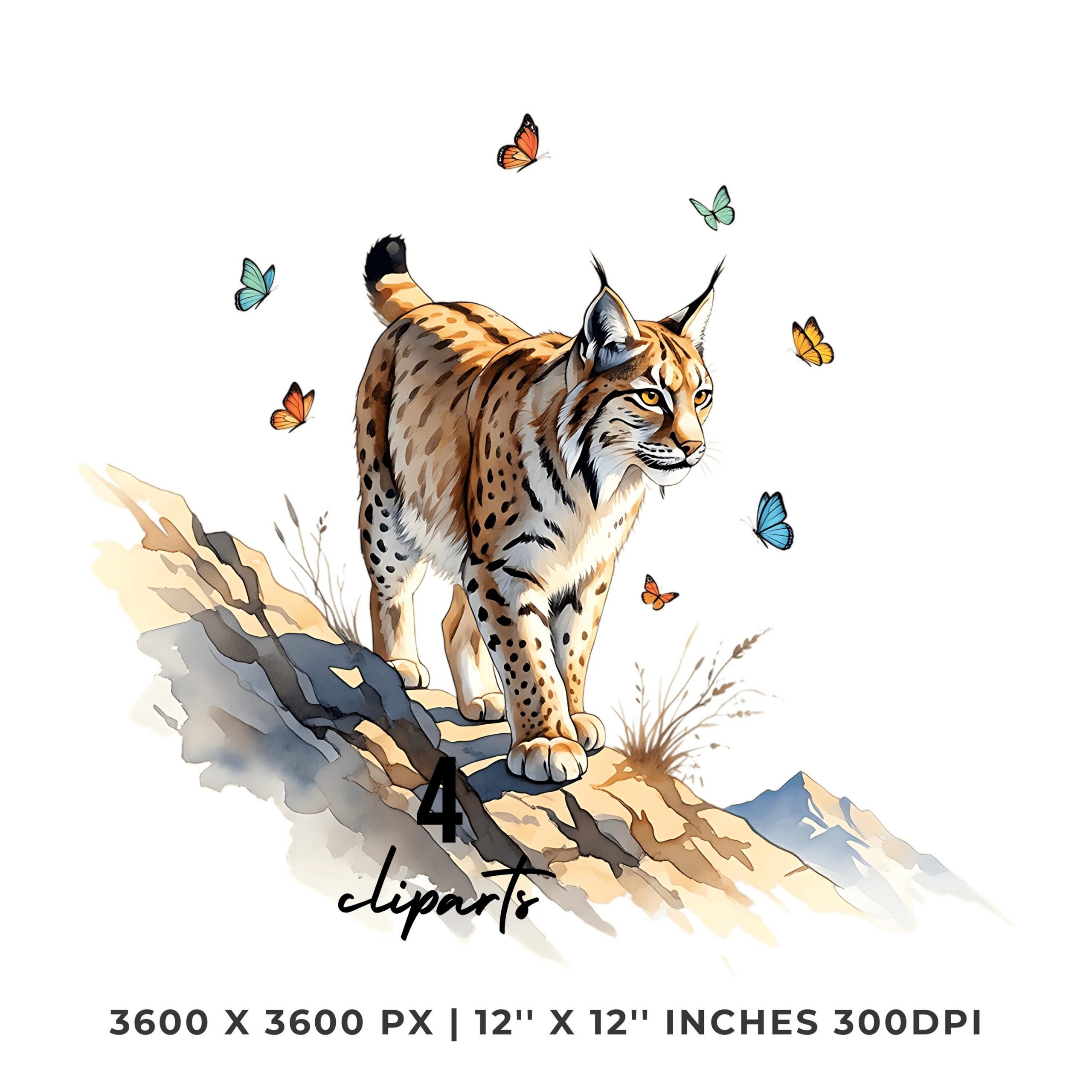 Lynx Butterfly Clipart png jpg Set | Wildcat Mountain Animal Art | 4 PNG & 4 JPG Digital Stickers | 12″x12″ 300DPI Graphic Commercial Use – Instant Digital Download