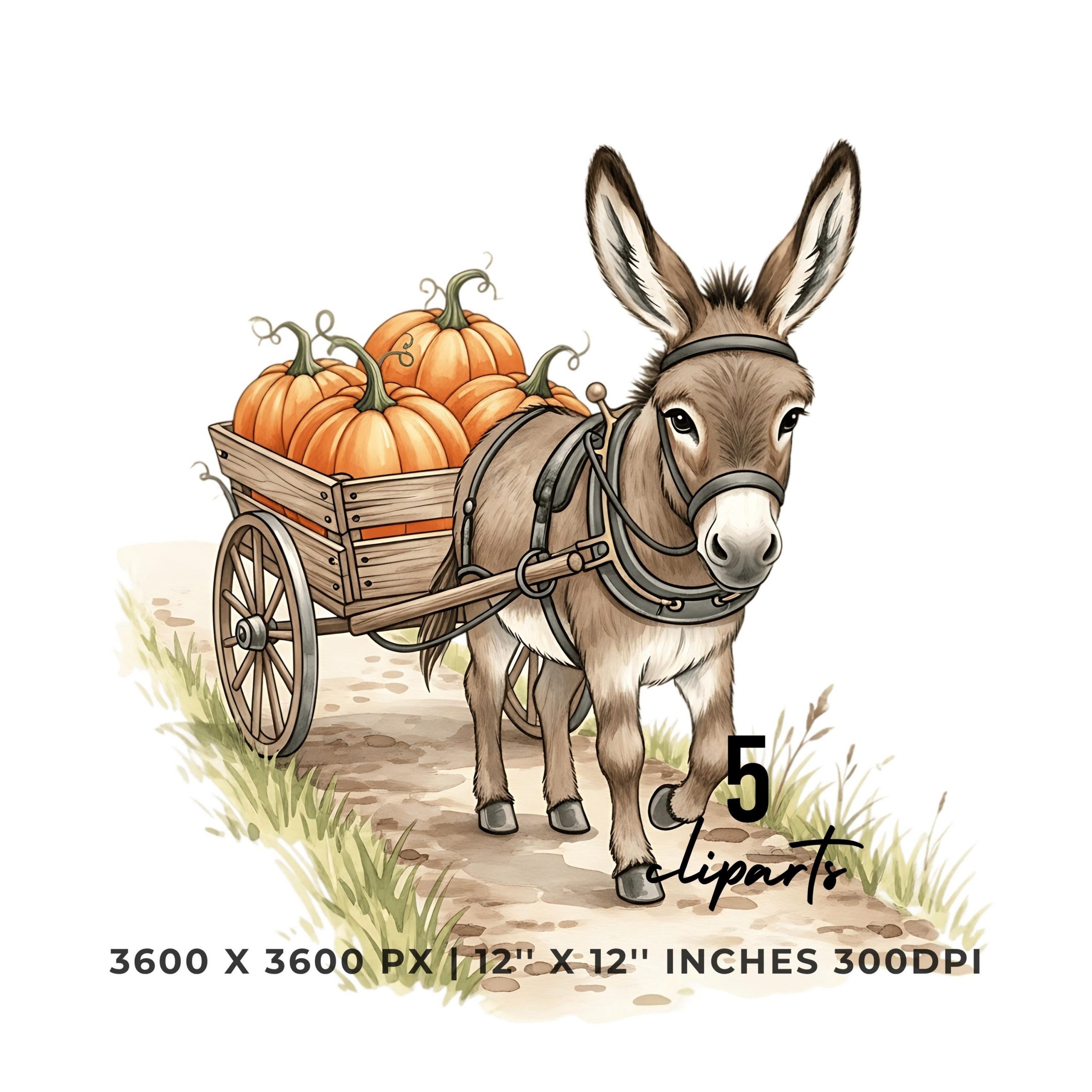 Cute Donkey Pulling Pumpkin Cart Fall Clipart 5 PNG & 5 JPG | Autumn Farm Harvest Donkey Art | 5 High-Res Clipart Images | Commercial Use – Instant Digital Download