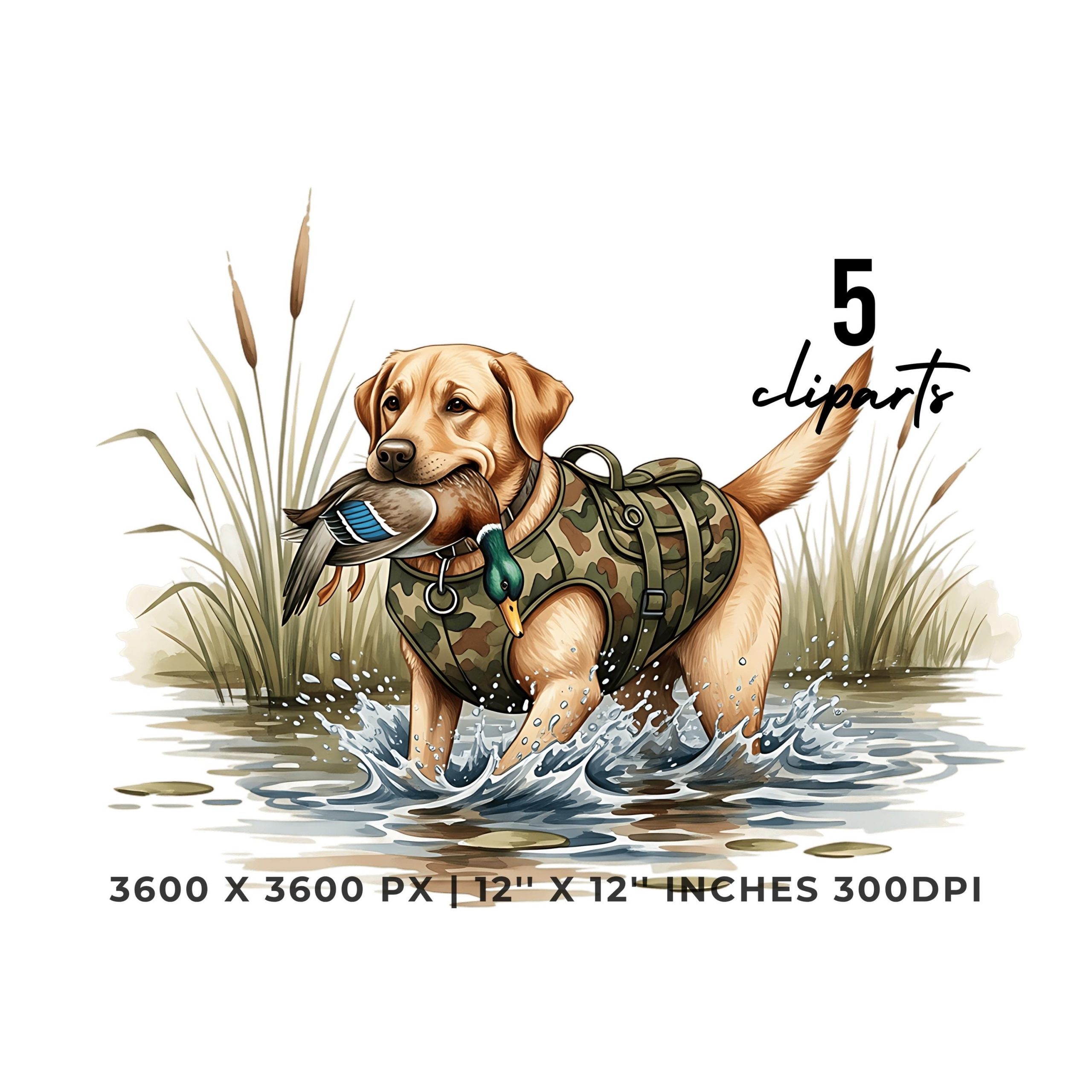 Labrador Retriever Duck Hunting Clipart Set | Watercolor Dog Hunting Ducks |  4 PNG & 4 JPG Sublimation Hi-Res Commercial Use – Instant Digital Download