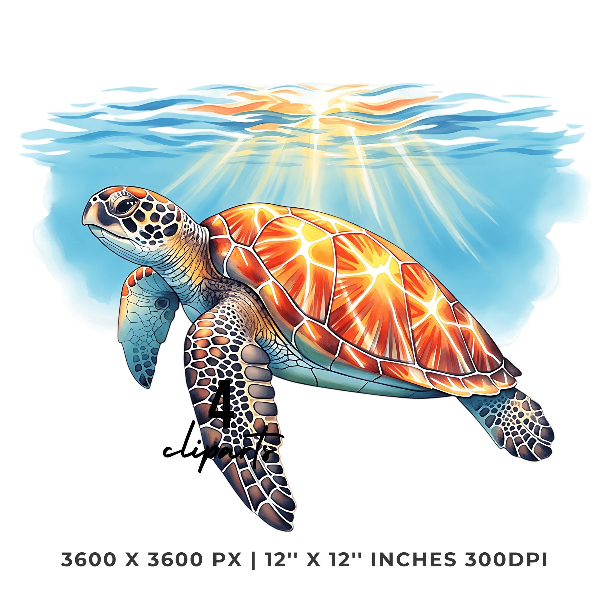 Sea Turtle Underwater Swimming Clipart | 4 PNG & 4 JPG | Ocean Animal Art | Marine Wildlife Illustration Sublimation Commercial Use – Instant Digital Download