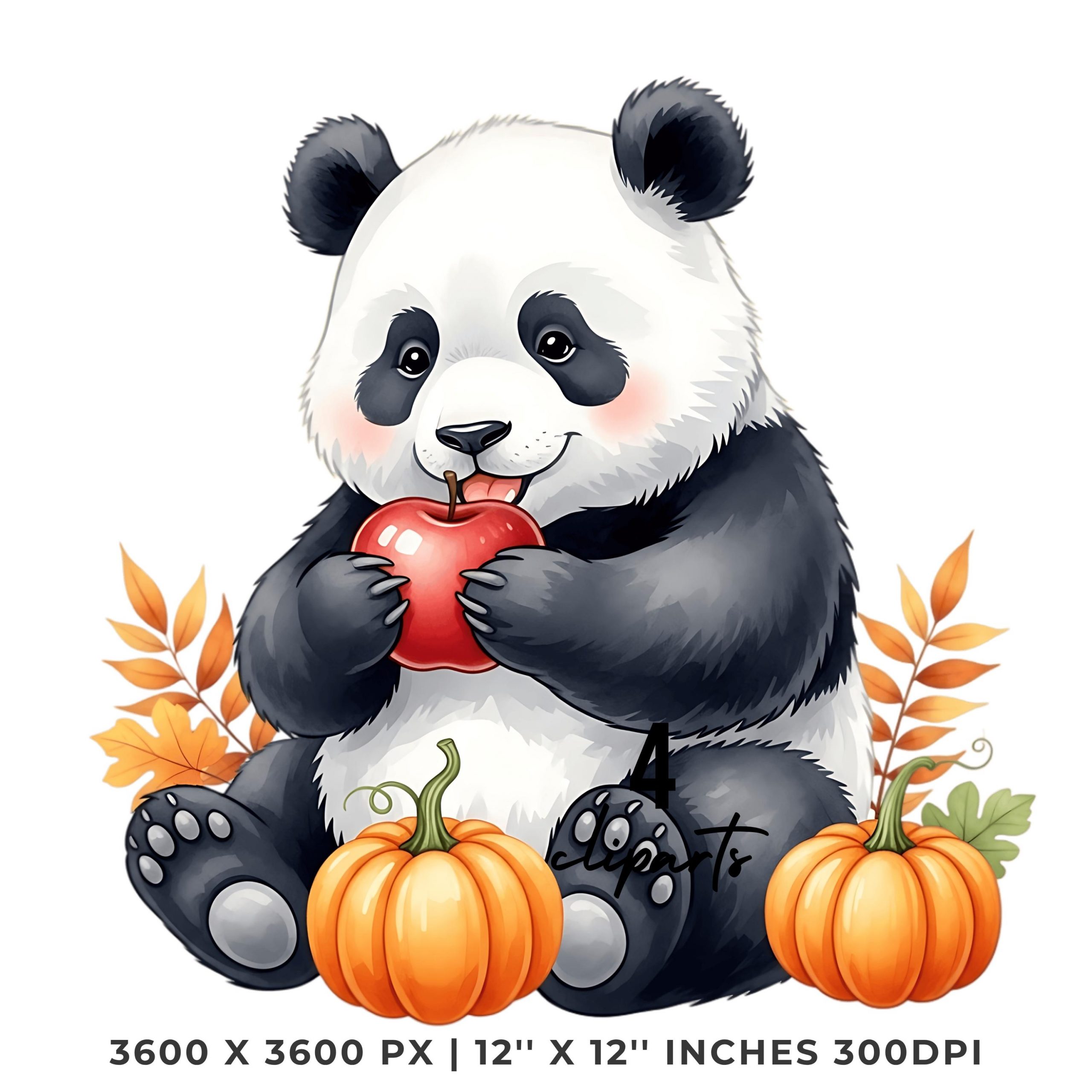 Panda with Apple Fall Pumpkin Clipart | 4 PNG & 4 JPG | Sublimation Transparent Commercial Use – Instant Digital Download