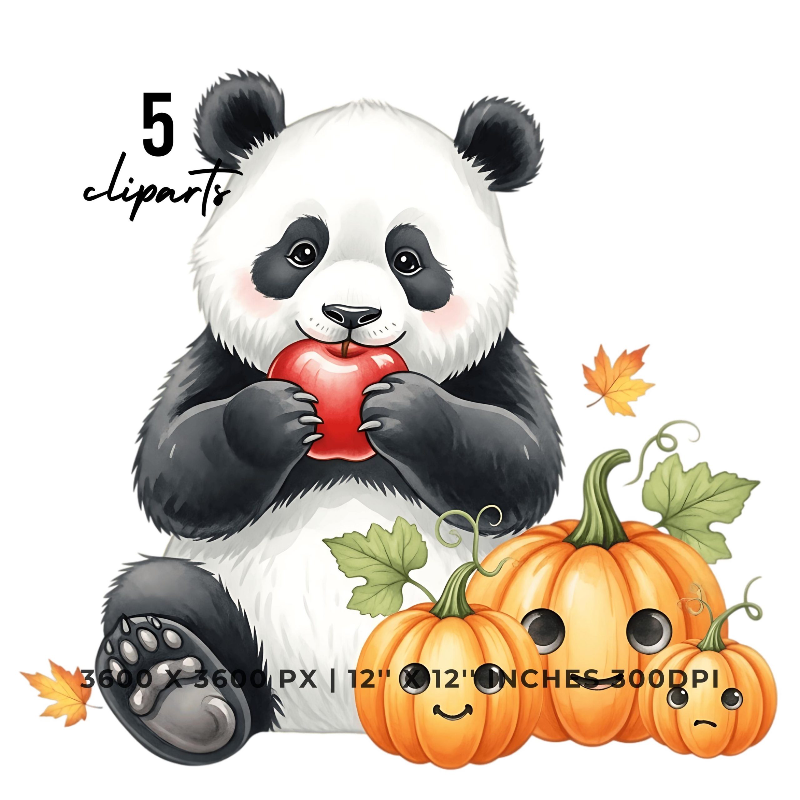 Cute Panda with Apple and Pumpkin Patch | Fall Clipart | 5 PNG & 5 JPG | Sublimation Transparent Commercial Use – Instant Digital Download