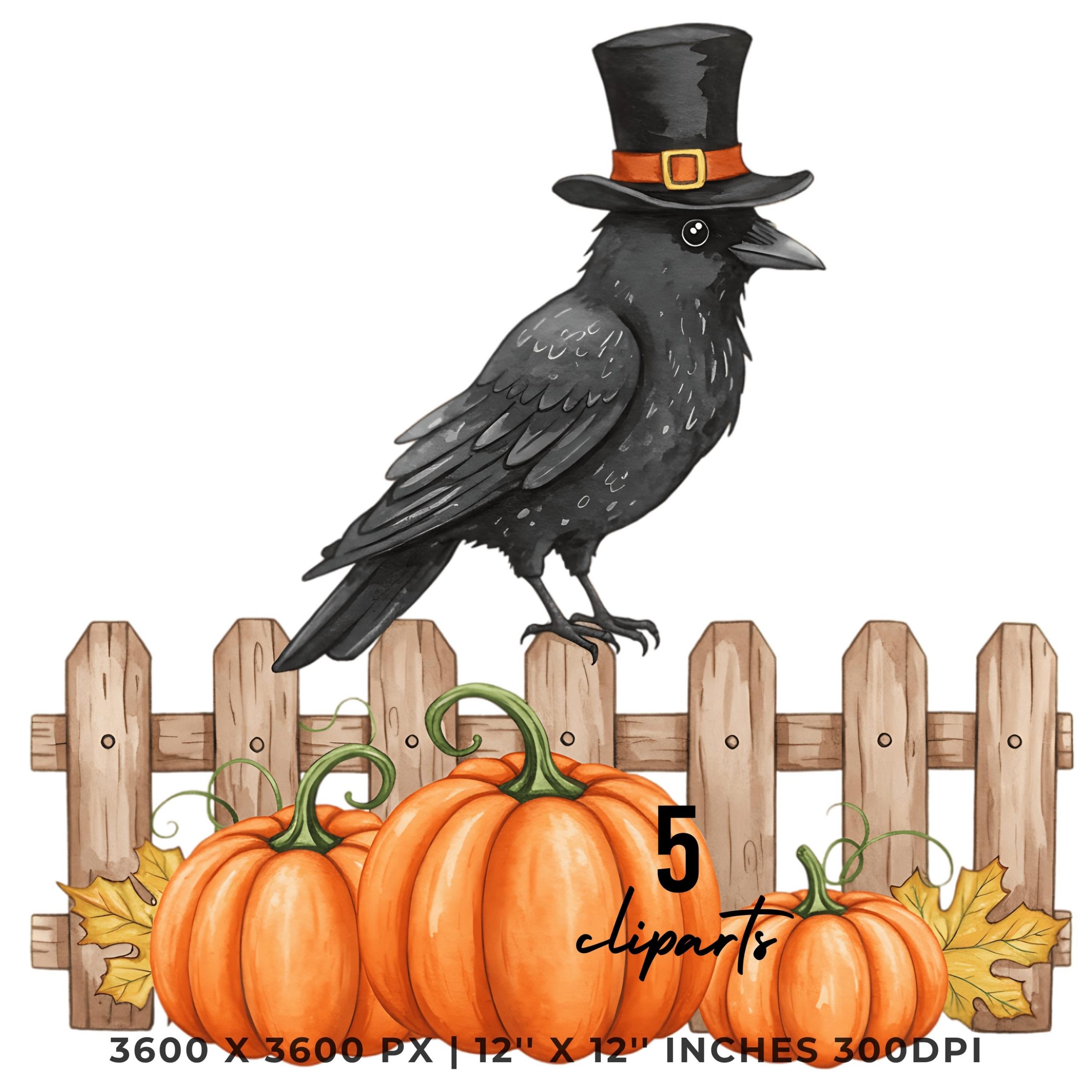 Crow with Top Hat on Fence with Pumpkins Clipart | Fall Halloween Bird Illustration | 5 PNG & 5 JPG | Sublimation Transparent Commercial Use – Instant Digital Download