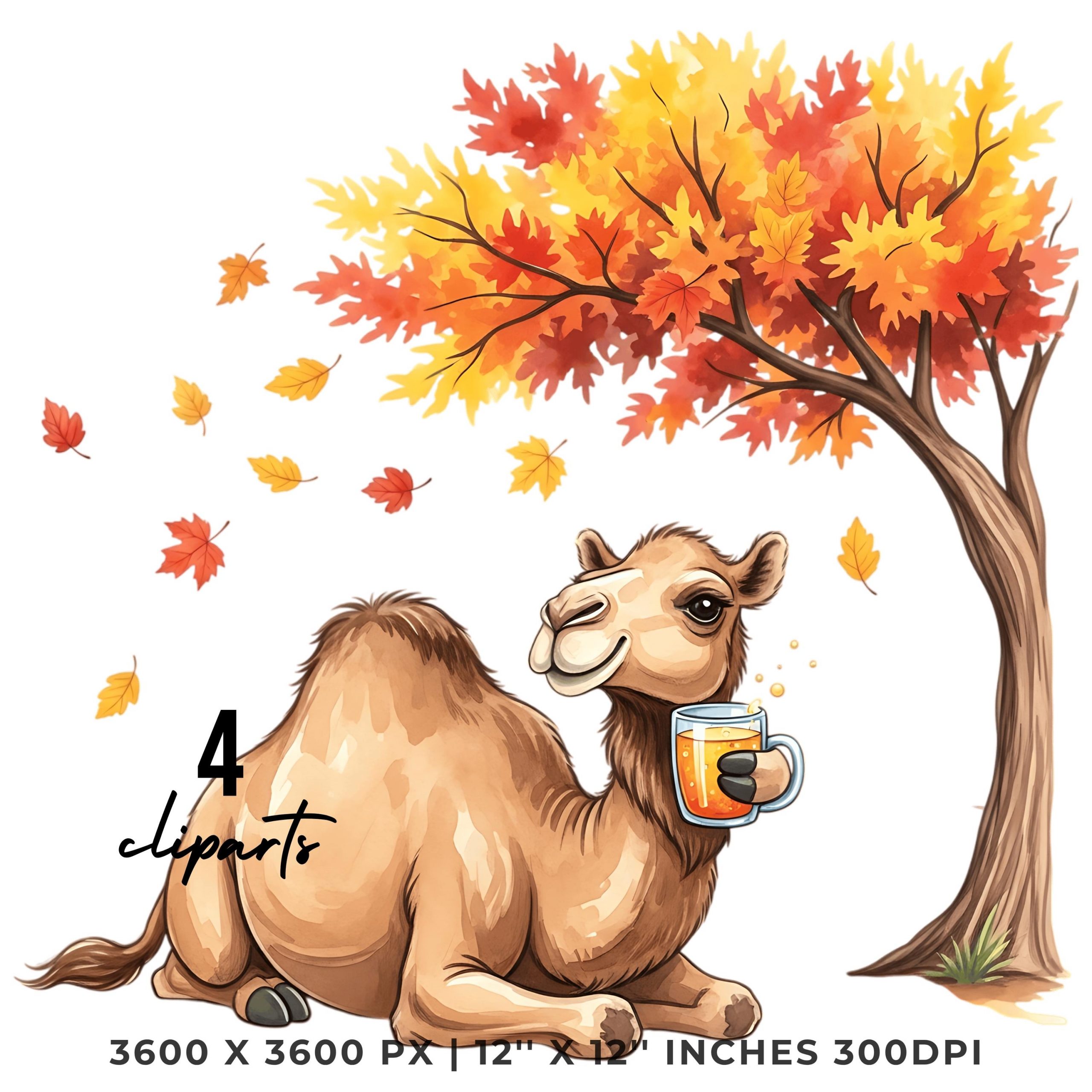 Autumn Camel Clipart Set | Fall Leaves Camel Clip Art Bundle | 4 PNG & 4 JPG | Sublimation Transparent Commercial Use – Instant Digital Download