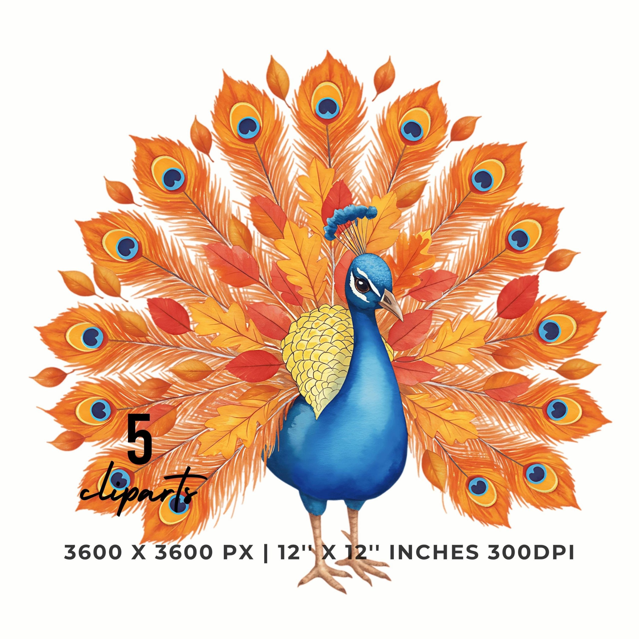 Peacock Clipart Bundle | Fall Peacock with Colorful Feathers | 12″x12″ 300DPI | Autumn Bird | 5 PNG – 5 JPG Sublimation Commercial Use – Instant Digital Download