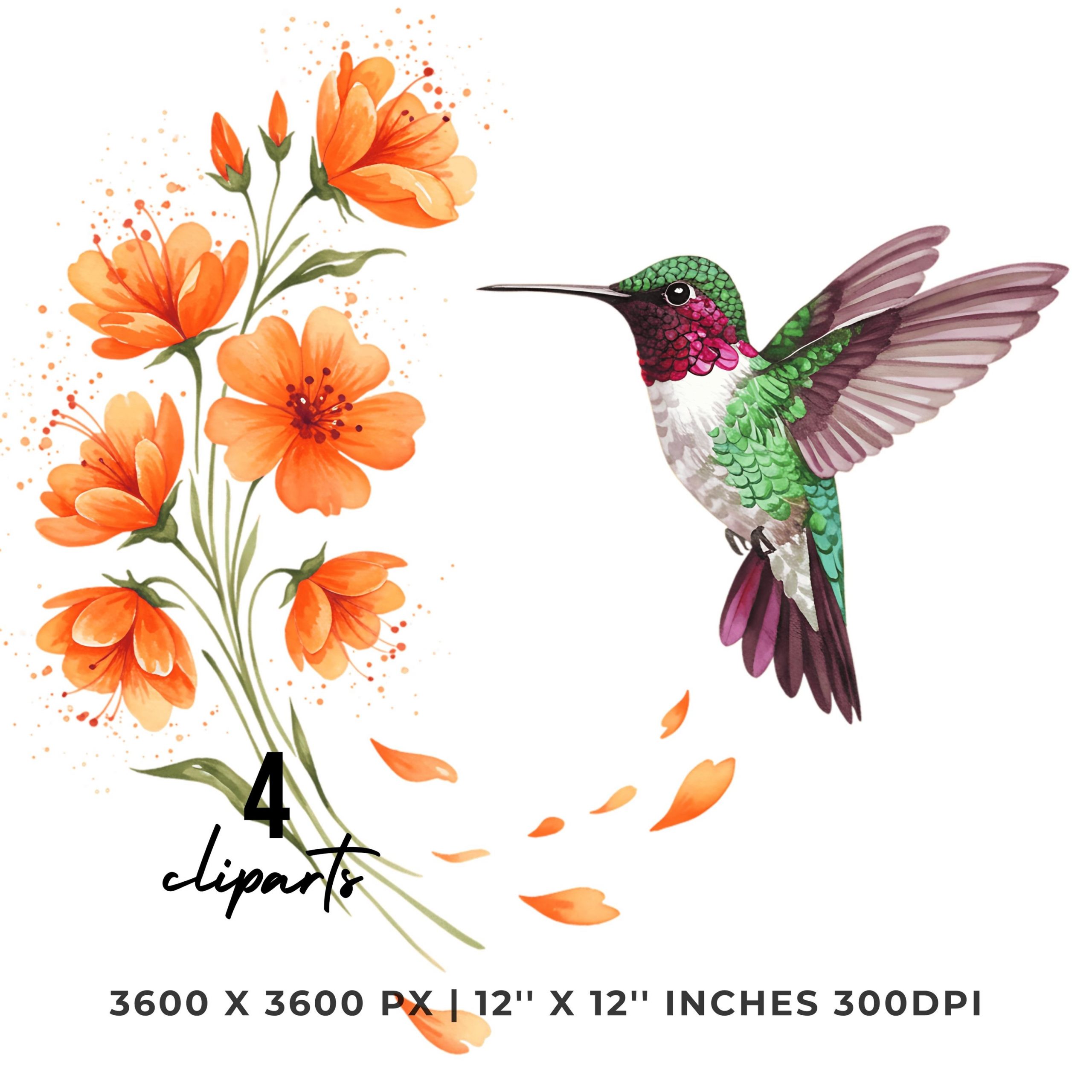 Hummingbird and Orange Flowers Clipart Set | Floral Bird Art | 12″x12″ | 300DPI for Sublimation, Scrapbook | 4 PNG & 4 JPG | Commercial Use – Instant Digital Download