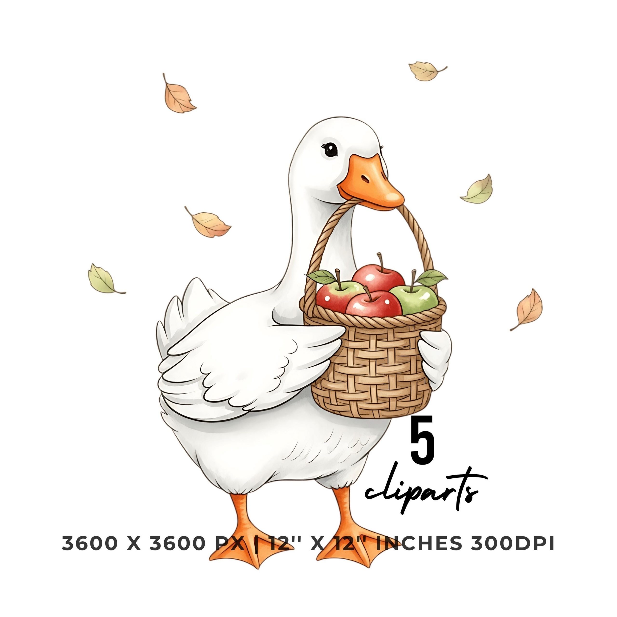 Cute Goose Autumn Clipart with Basket of Apples | Fall Farm Animal 5 PNG & 5 JPG | Instant Download for Sublimation Commercial Use – Instant Digital Download